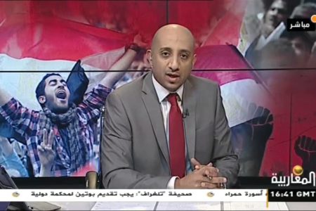 مصر ذكرى 25 يناير كابوس السيسي وأمل المعارضين الجزء